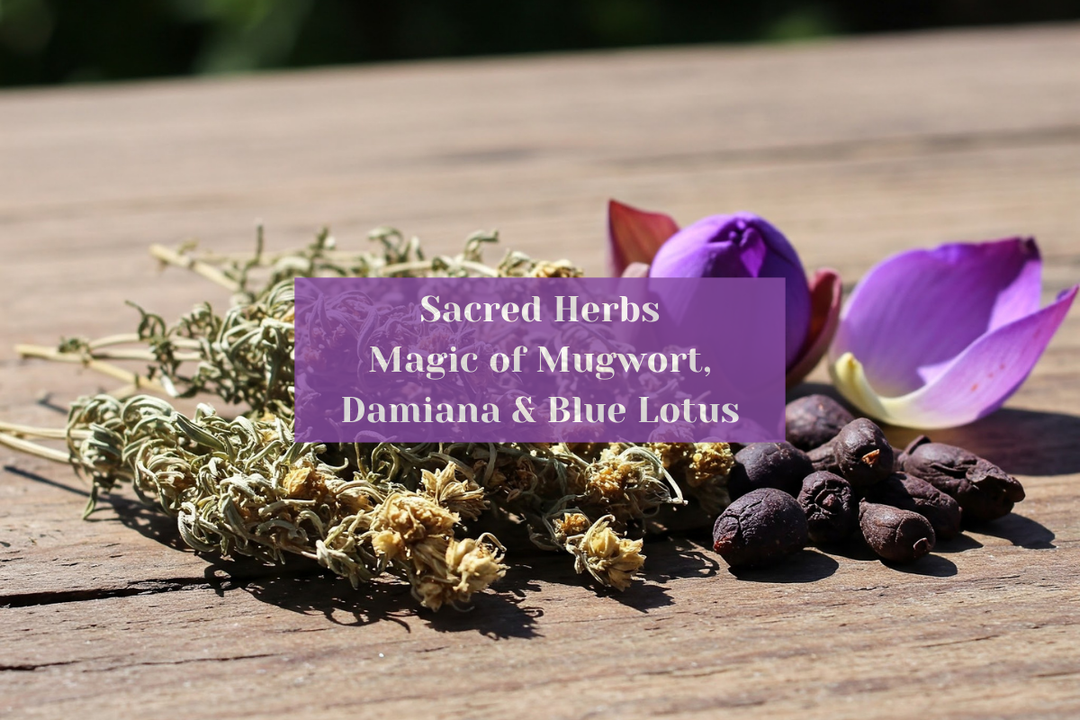 🌿 Sacred Herbs and Their Everyday Magic