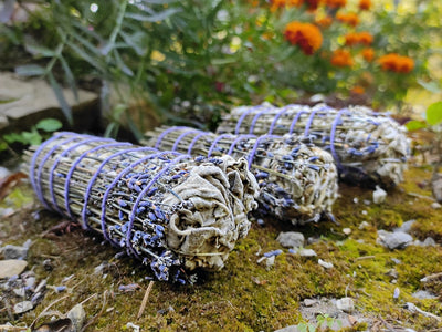 lavender-and-white-sage-smudge-sticks.jpg
