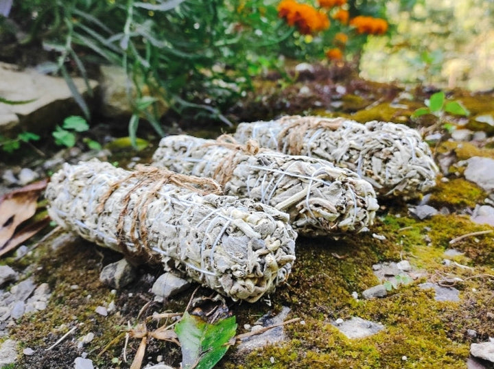 White -Sage -Smudge- Sticks.jpg