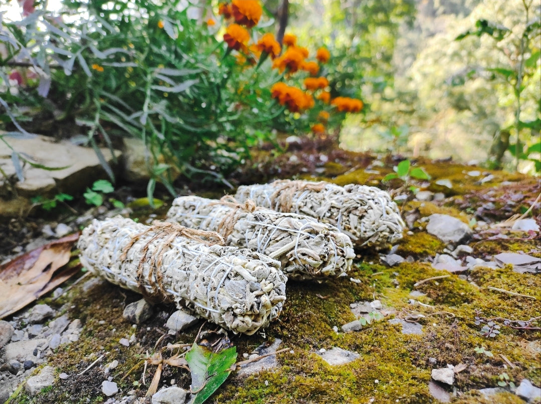 white-sage-smudge-sticks.jpg