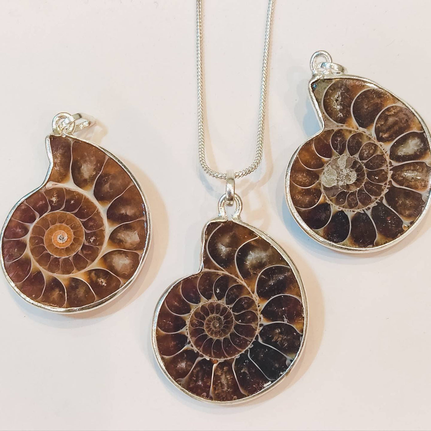 fossilized-ammonite-spiral-silver-pendant-necklace.jpg