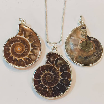 fossilized-ammonite-spiral-silver-pendant-necklace.jpg